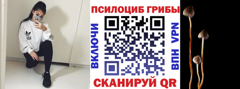 Псилоцибиновые грибы Cubensis  Купить закладки  Полысаево 